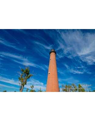Sable Skies