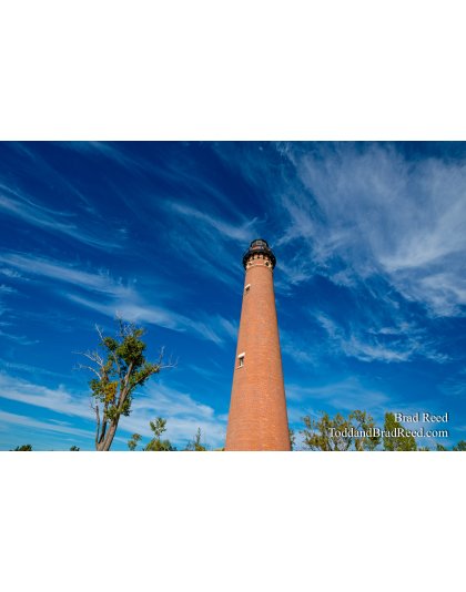Sable Skies