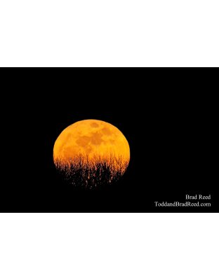 Super Moon