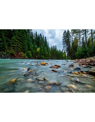 Toby Creek Adventures