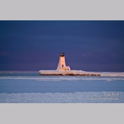 Ludington Frozen Light Gold (0230)