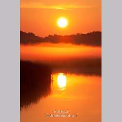 Lud State Park (6139)