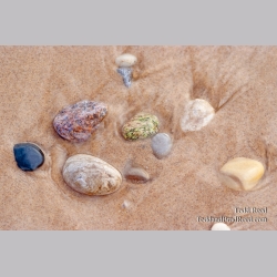 365 Week 15 (6885)