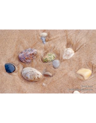 365 Week 15 (6885)