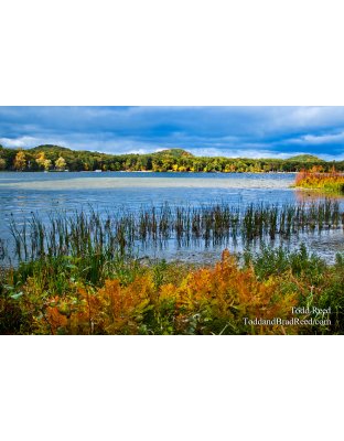 Bass Lake Splendor
