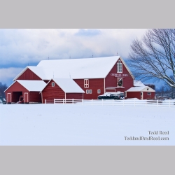 Cherry Hill Farms R (7348)
