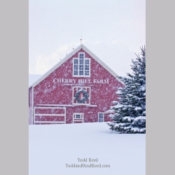 Cherry Hill Farms (7362)