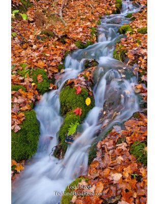 Fall Falls
