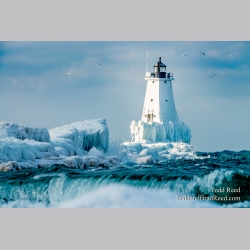 Arctic Ludington