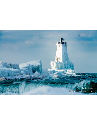 Arctic Ludington