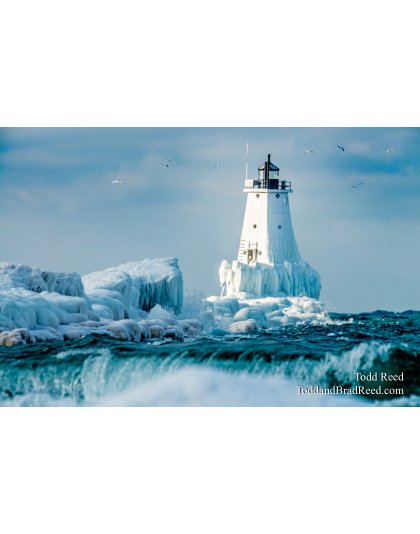 Arctic Ludington
