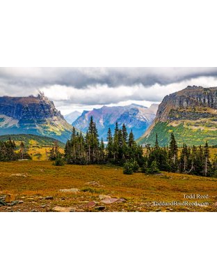 Halfway Up Logan Pass
