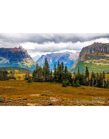 Halfway Up Logan Pass