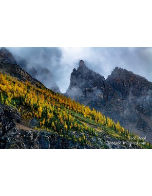 Kodachrome Mountain