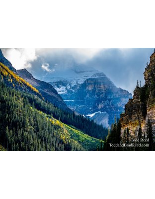 Mountain Journey