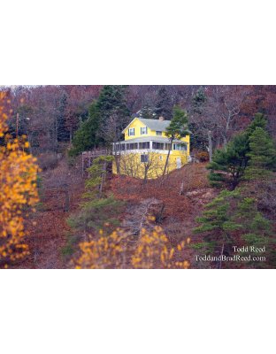 Autumn Eyecatcher