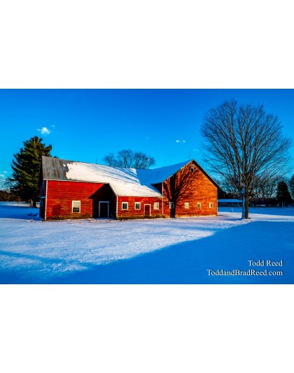 Barn Shadows