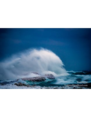 Bomb Cyclone