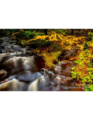 Converging Falls