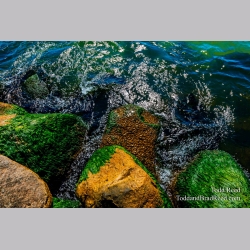 Emerald Sea