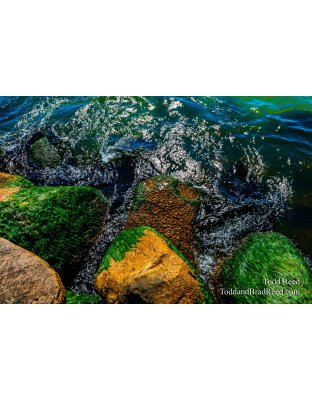 Emerald Sea