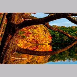 Eye on Autumn