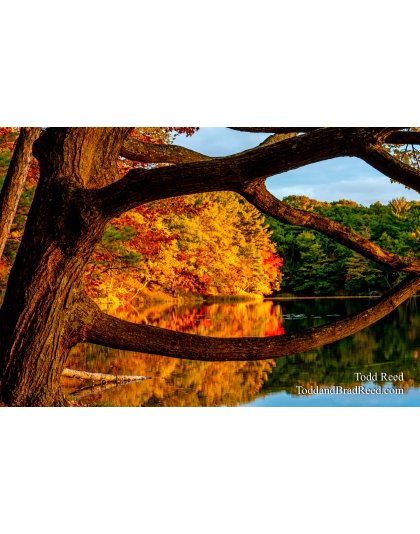 Eye on Autumn
