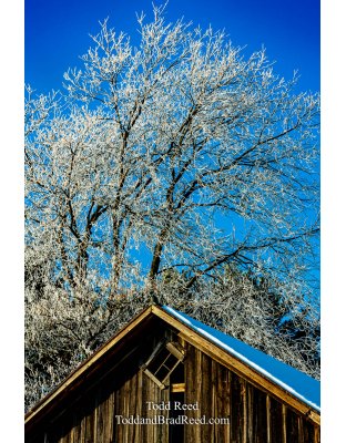 Freeze Morning
