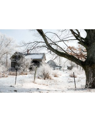 Frozen Palace
