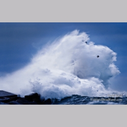 Full Gale