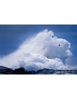 Full Gale