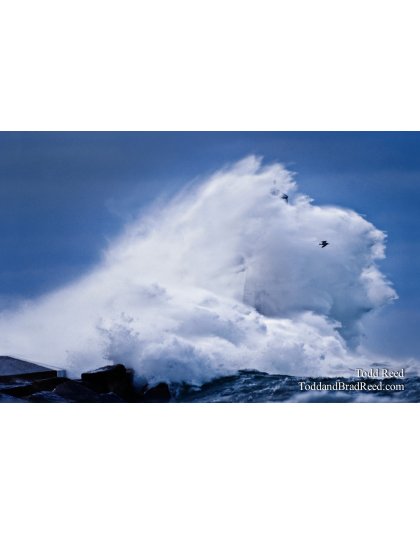 Full Gale