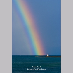 Light Spectacle