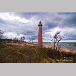 Todd Reed Little Point Sable