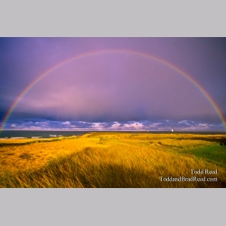 Todd Reed Rainbow Over Ludington