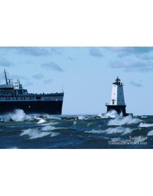 Seaward