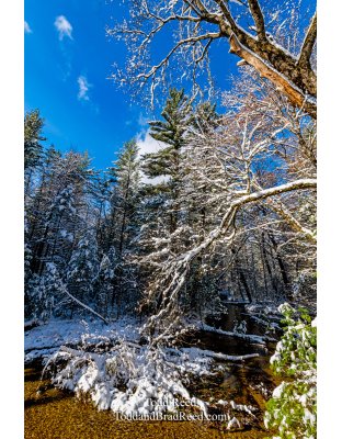 Snowy Creek