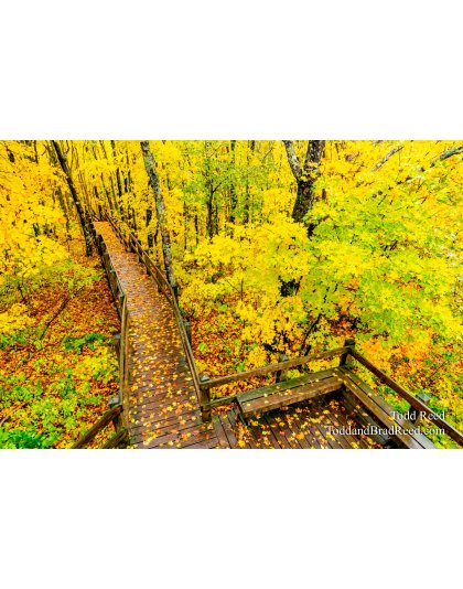 Walkway to Fall