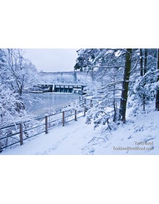 Winters Best