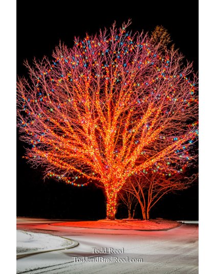 Bay Harbor Lights