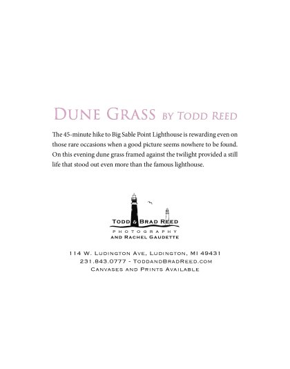 Greeting Card: Dune Grass