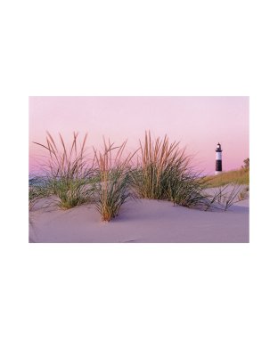 Greeting Card: Dune Grass