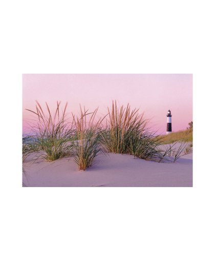Greeting Card: Dune Grass