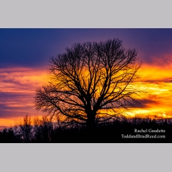 Rachel\'s Day 15 of 366 - January 15, 2020