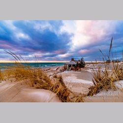 Brad Reed\'s Day 16 of 366