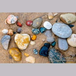 Brad Reed\'s Day 18 of 366