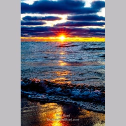 Brad Reed\'s Day 20 of 366