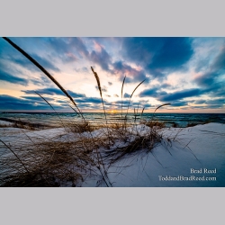 Brad Reed\'s Day 21 of 366