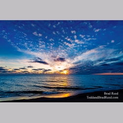 Brad Reed\'s Day 35 of 366