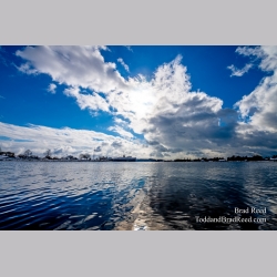Brad Reed\'s Day 38 of 366